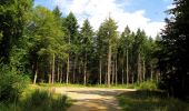 Tocht Stappen Montgobert - en forêt de Retz_83_les Champs Mentard_le Fond d'Argent - Photo 2