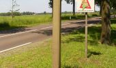 Percorso A piedi Hellendoorn - WNW Twente - Daarle - gele route - Photo 8