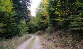 Trail Walking Sentheim - Bucherg - Photo 10