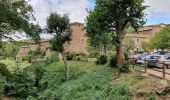 Tour Wandern Sainte-Croix-en-Jarez - Saint Croix en Jarrez - Photo 16