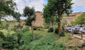 Tocht Stappen Sainte-Croix-en-Jarez - Saint Croix en Jarrez - Photo 16