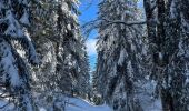 Randonnée Raquettes à neige Bellefontaine - Bellefontaine roche Champion - Photo 3