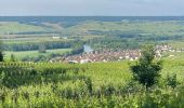 Tocht Stappen Hautvillers - Chemin par monts et par vaux - Hautvilliers - Photo 10