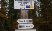 Excursión Senderismo Soultzeren - Glasborn Tour du linge - Photo 4