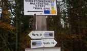 Tocht Stappen Soultzeren - Glasborn Tour du linge - Photo 4