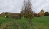 Tocht Noords wandelen Chaumont-Gistoux - dion bonne Longueville  - Photo 2