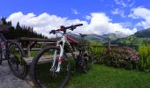 Trail Mountain bike Le Grand-Bornand - VTT du grand bornand au refuge - Photo 10