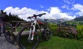 Percorso Mountainbike Le Grand-Bornand - VTT du grand bornand au refuge - Photo 10