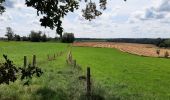 Trail Walking Dinant - FOY GPX BERLAGE - Photo 11