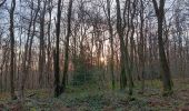 Trail Walking Liège - tourniquet au sart-tilman  - Photo 6