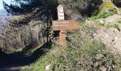 Trail Walking Nice - Vinaigrier Mont Bastide - Photo 5