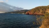 Tour Wandern Bouillante - Pointe à Lézard - Anse à Sable - Photo 3