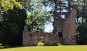 Tour Wandern Oberehnheim - 240624 - Obernai échauffement  - Photo 1