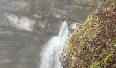 Randonnée Marche Menétrux-en-Joux - cascades des herissons - Photo 3