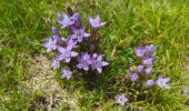 Excursión Senderismo Lüsen - Luson - Lüsner Alm - Rastnerhütte - Photo 12