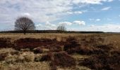 Trail Road bike Aa en Hunze - schoonloo - Photo 2