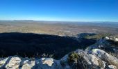 Tour Wandern Mazaugues - Mourre d'Agnis  - Photo 1