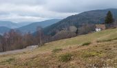 Trail Walking Le Ménil - Le Ménil - Balade des deux chapelles - Photo 15