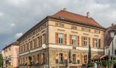 Tour Zu Fuß Scheßlitz - Rundwanderweg Scheßlitz C 