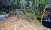 Randonnée Marche Sillans-la-Cascade - Traversée Sillans - Cascade - Chemin du train des pignes - Ruines chateau Salernes -  Piscine Salerne - Bord de rivière - Chapelle St Laurent - Photo 6