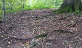 Trail Walking Esneux - mon E d'Esneux - Photo 16