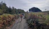 Tour Wandern Neufchâteau - Balade canine 2022 - Photo 2