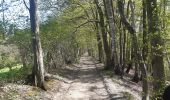 Randonnée Marche Theux - neufmarteau . trou colas . royonpré . neufmarteau  - Photo 7
