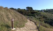 Tocht Stappen Saint-Gildas-de-Rhuys - pointe du grand Mont - Photo 6