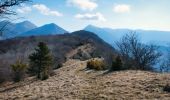 Tour Wandern Saou - Forêt de Saoû - Les Pomerolles - Photo 13