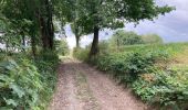Trail Walking Gesves - Sentiers d’art / Gesves / Boucle 