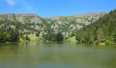 Trail Walking Orbey - Circuit des 2 lacs : lac du Forlet et lac Vert - Photo 8