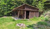 Trail Walking Ranrupt - 2023-06-04 Marche Col de Steige Tour du Climont - Photo 1