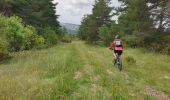 Trail Mountain bike Thorame-Basse - Camping petit cordeil Argens - Photo 6