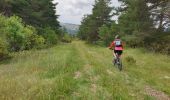 Percorso Mountainbike Thorame-Basse - Camping petit cordeil Argens - Photo 6