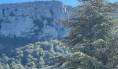 Tocht  Plan-d'Aups-Sainte-Baume - Rando Chantal  - Photo 2