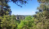 Tocht Stappen Le Rozier - corniche du Tarn et de la Jonte - Photo 10