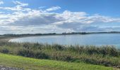 Trail  Giffaumont-Champaubert - Lac du der marne - Photo 3
