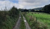 Trail Horseback riding Walcourt - Mertenne-bois de Pry - Photo 1