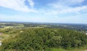 Tour Wandern Plomodiern - Autour de Ste Marie du Ménez Hom - Photo 5