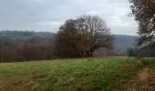 Tocht Stappen Chaudfontaine - autour de la Béole - Photo 10