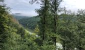 Trail Walking Boulaide - AR Boulaide - Photo 2