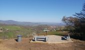 Tour Wandern Pollionnay - Larny, en face de Sourcier, Croix du Ban - Photo 2