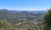 Tour Wandern La Garde-Freinet - La garde freinet - Notre Dame de Miremer - Photo 20