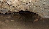 Excursión Senderismo Léoncel - Pierre Chauve - Col de Tourniol - Photo 10