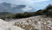 Excursión Senderismo Castillon - Castillon : Mt Ours - Photo 14