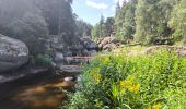 Trail Walking Peyre en Aubrac - Javols - Photo 1