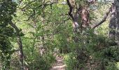 Tour Wandern Rustrel - visite et tour du Colorado Provençal  - Photo 8