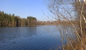 Tour Wandern Belmont - 4-03-22 circuit du bois des hauts, Belmont - Photo 2