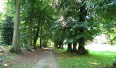 Tour Zu Fuß Villers-Cotterêts - le GR11A  dans la Forêt de Retz  - Photo 13