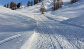 Tocht Sneeuwschoenen Vars - Fontbonne Peynier  - Photo 3